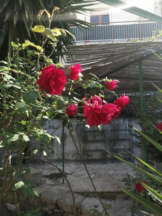 Il Giardino Della Nonna Apartment